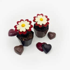 Solifleur praliné amande/noisette, riz soufflé. La Route du Cacao. Fête des Mères.